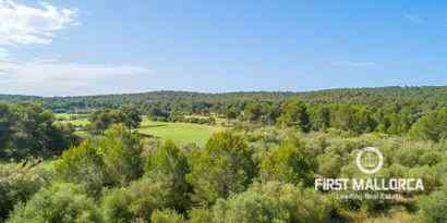 Immobilien picture 4 Ref. Nr. 65082