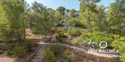 Inmobiliaria picture 2 Ref. Nº. 64433