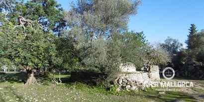 Immobilien picture 4 Ref. Nr. 65807