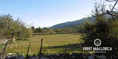 Immobilien picture 5 Ref. Nr. 65807