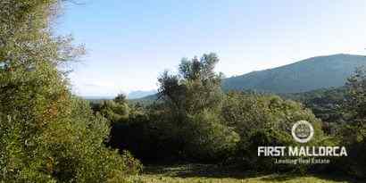 Immobilien picture 6 Ref. Nr. 65807