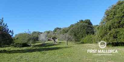 Immobilien picture 7 Ref. Nr. 65807