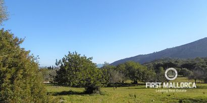 Immobilien picture 9 Ref. Nr. 65807