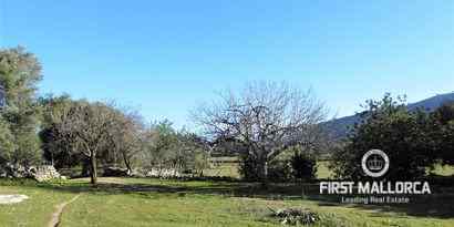 Immobilien picture 10 Ref. Nr. 65807