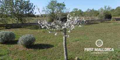 Inmobiliaria picture 15 Ref. Nº. R12396