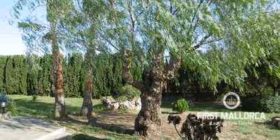 Inmobiliaria picture 13 Ref. Nº. R12396