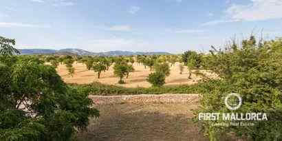 Inmobiliaria picture 6 Ref. Nº. R8969