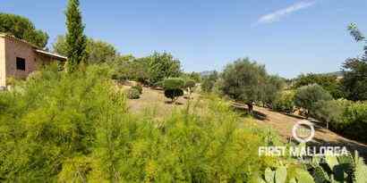 Inmobiliaria picture 8 Ref. Nº. R8969